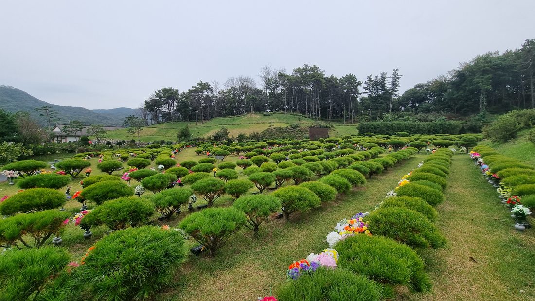 꽃이 놓인 묘역